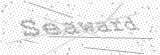 Security Picture (click to change)