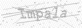 Security Picture (click to change)