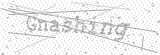 Security Picture (click to change)
