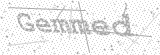 Security Picture (click to change)