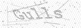 Security Picture (click to change)