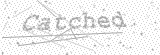 Security Picture (click to change)