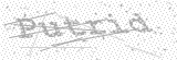 Security Picture (click to change)