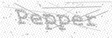 Security Picture (click to change)