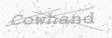 Security Picture (click to change)