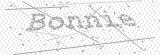 Security Picture (click to change)