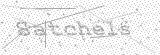 Security Picture (click to change)