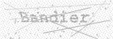 Security Picture (click to change)