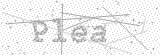 Security Picture (click to change)