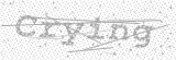 Security Picture (click to change)
