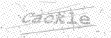 Security Picture (click to change)