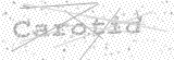 Security Picture (click to change)