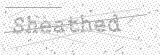 Security Picture (click to change)