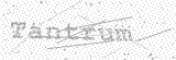 Security Picture (click to change)